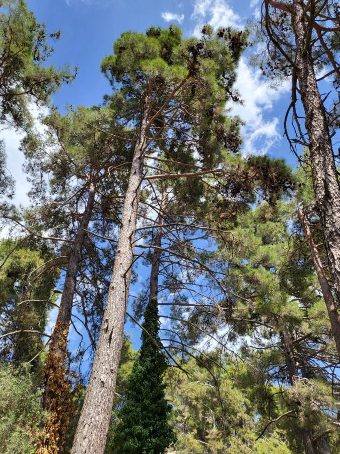 Вилла Theplatres.Nest Экстерьер фото
